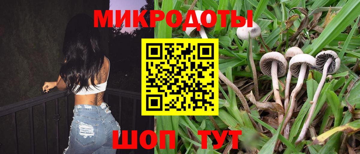 Псилоцибиновые грибы Magic Shrooms Нягань
