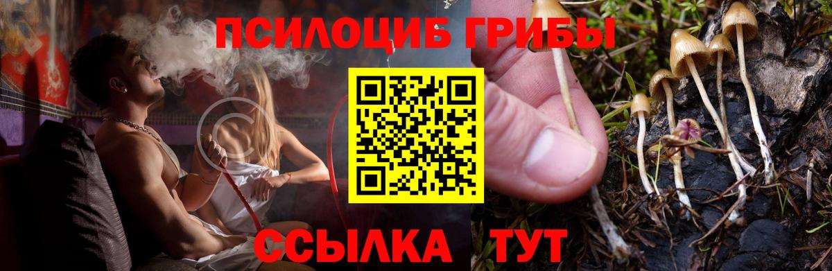 Галлюциногенные грибы GOLDEN TEACHER  Вход с VPN  Нягань 